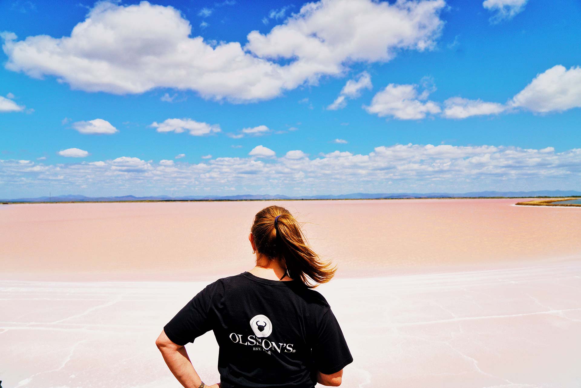 Olssons Salt